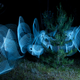 Illustration for article titled Shooting Challenge: Slow Shutter